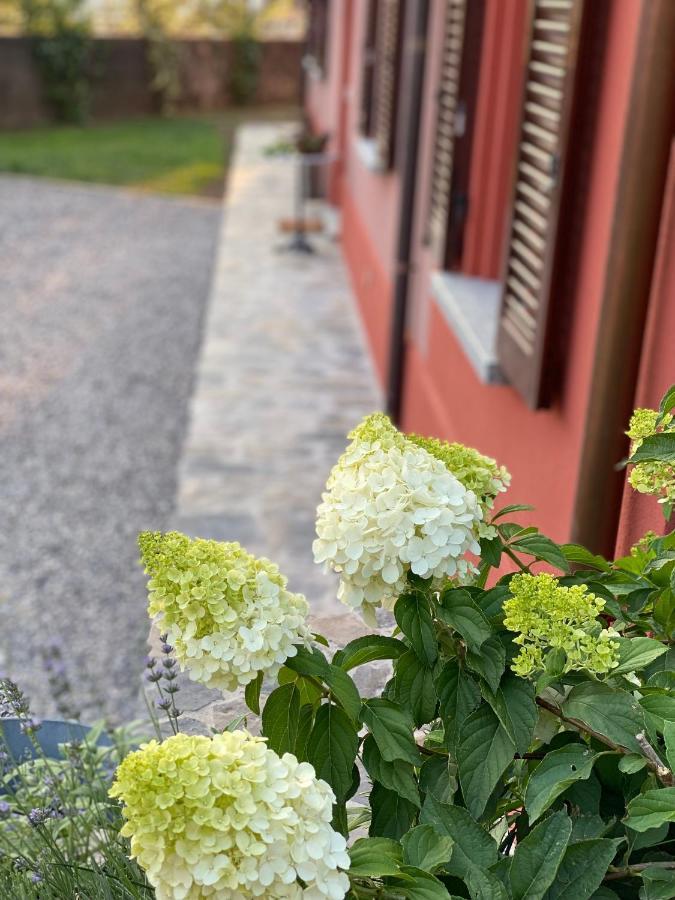 Il Mallo Verde - Lake Como B&B Mandello del Lario Exteriér fotografie