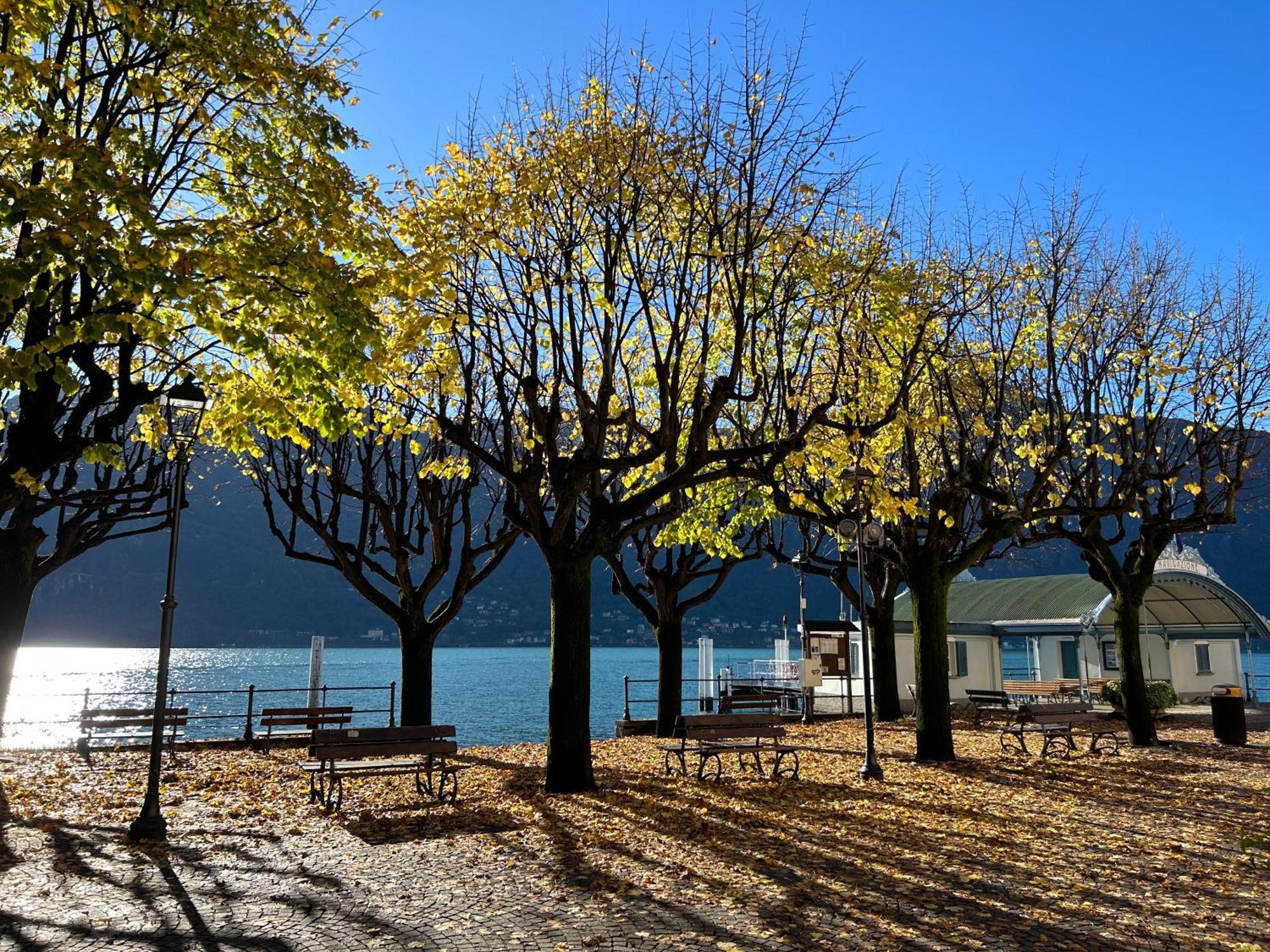 Il Mallo Verde - Lake Como B&B Mandello del Lario Exteriér fotografie
