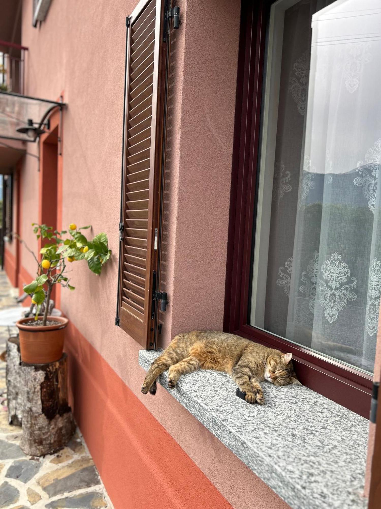 Il Mallo Verde - Lake Como B&B Mandello del Lario Exteriér fotografie